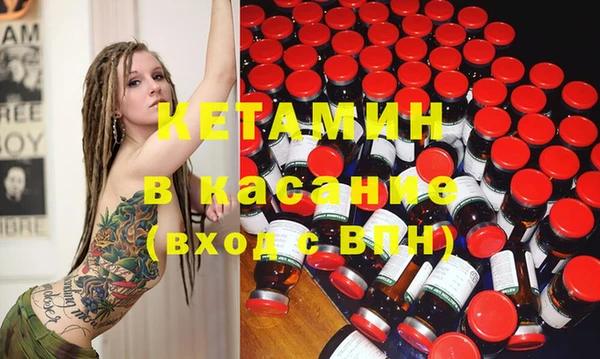 индика Долгопрудный