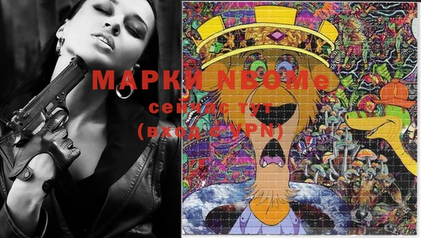 сатива Надым