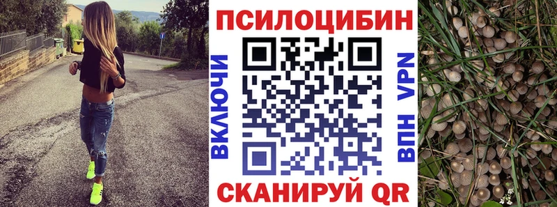 наркотики  Красноуральск  Галлюциногенные грибы Psilocybe 